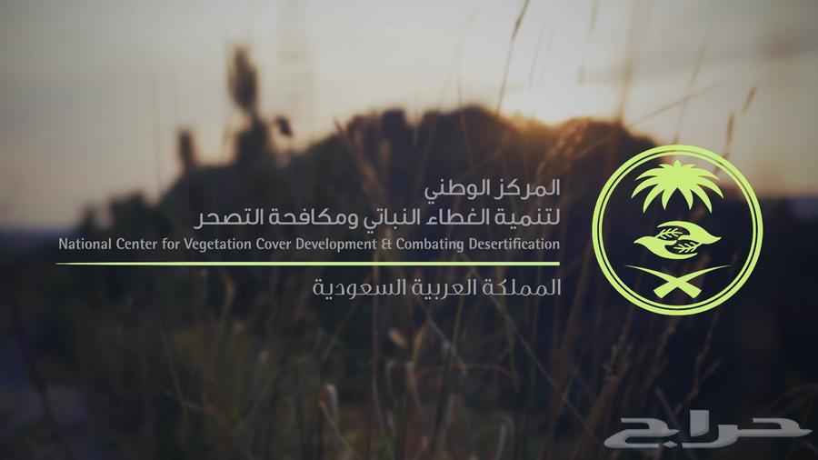 تصوير جوي وأرضي وإنتاج إعلامي احترافي بأسعار مغرية64207697172611110