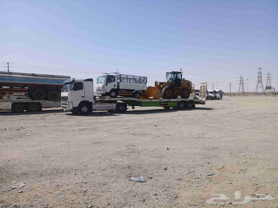 لوبد متواجد في جده64209001376387112