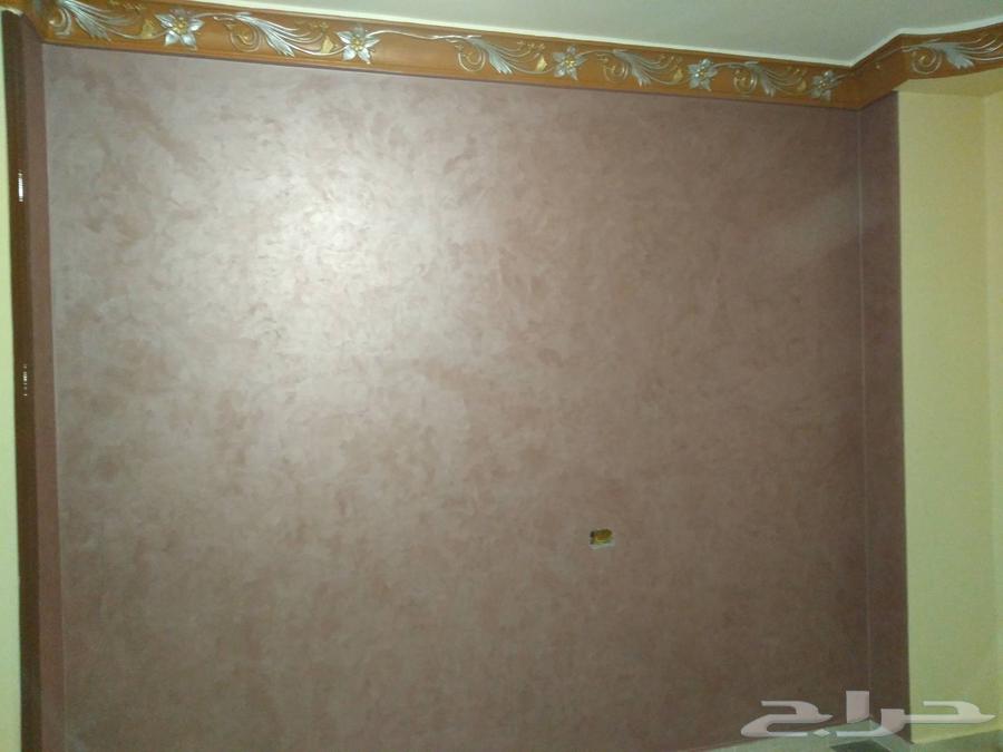 معلم دهانات بالمدينة المنورة64208805733634112