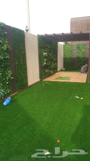 معلم نجيله64209219683331112