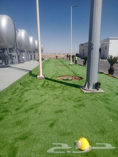 معلم نجيله64209219683331110