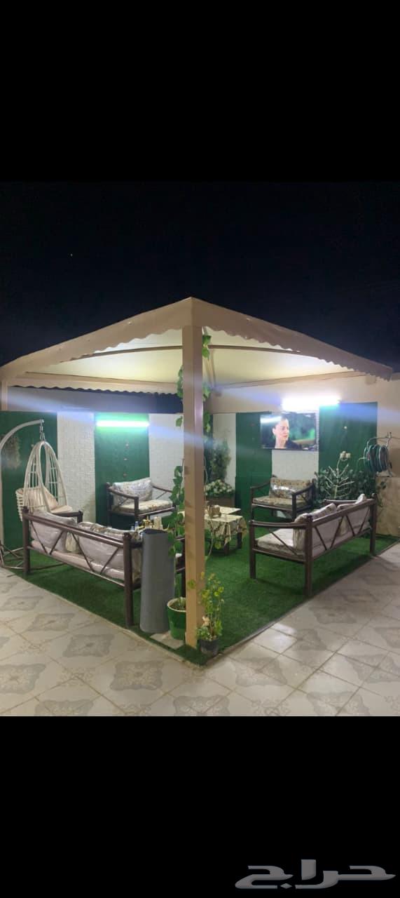 مضلات برجولات هناقر64207935200387113