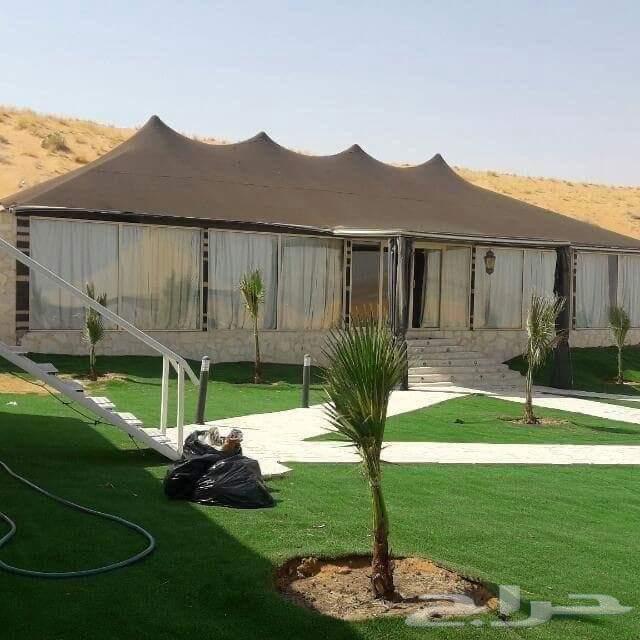 ديكورات جبس مشبات خيام64207697096579111