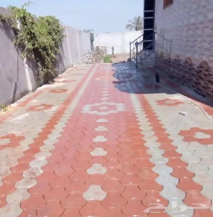 Interlock Teacher64208361534979114