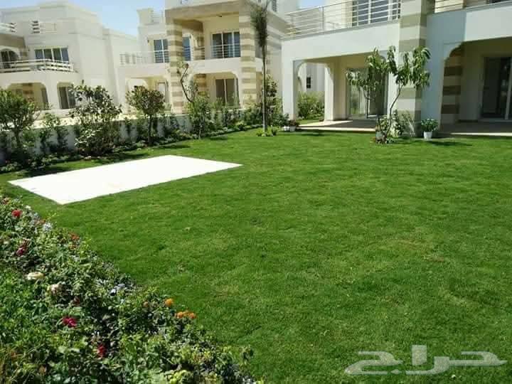 تنسيق حدائق منزليه المدينة المنورة64209432239363113