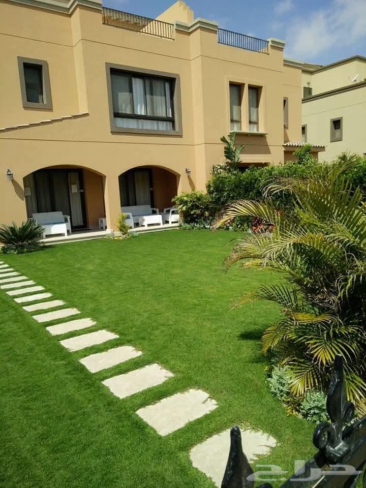 تنسيق حدائق منزليه المدينة المنورة64209432239363114