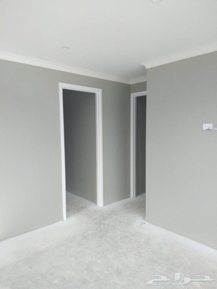 معلم بويات وديكور64208161259778112