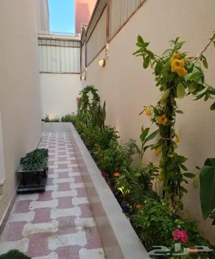 تنسيق الحدائق المنزلية وتركيب العشب الصناعي64208162672130111