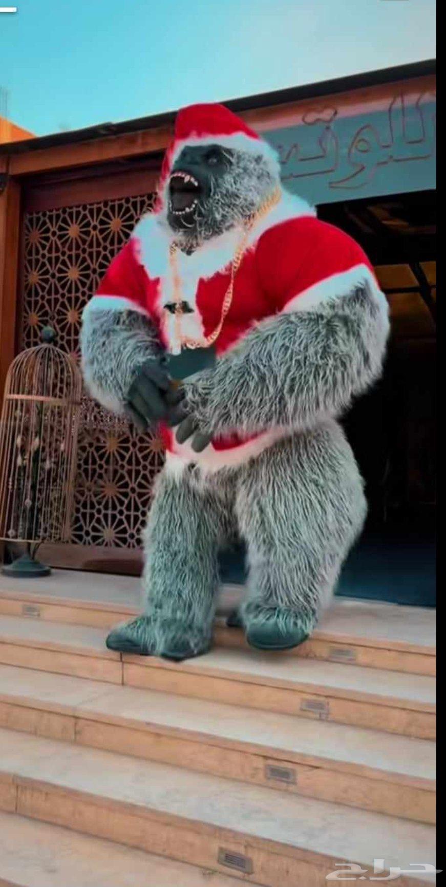 مهرجه بالرياض وخارج الرياض64208164138114112