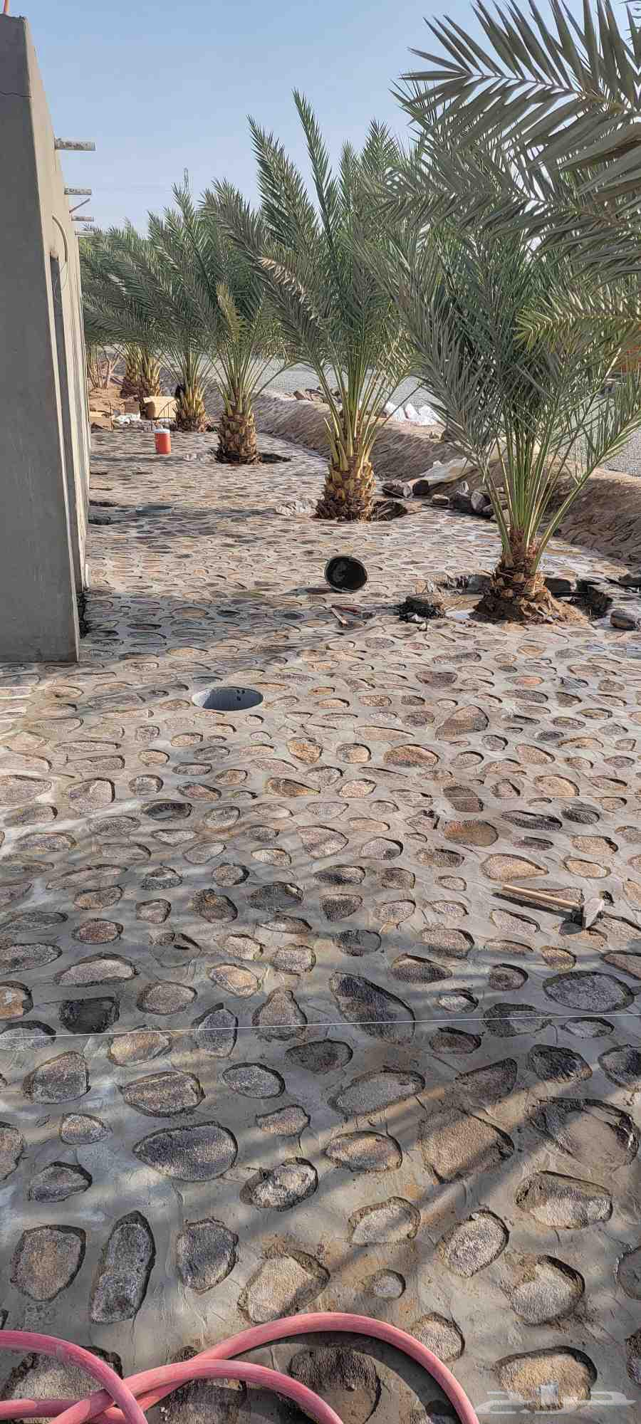 معلم حجر طبيعي رقم اتواصل64209431800065112