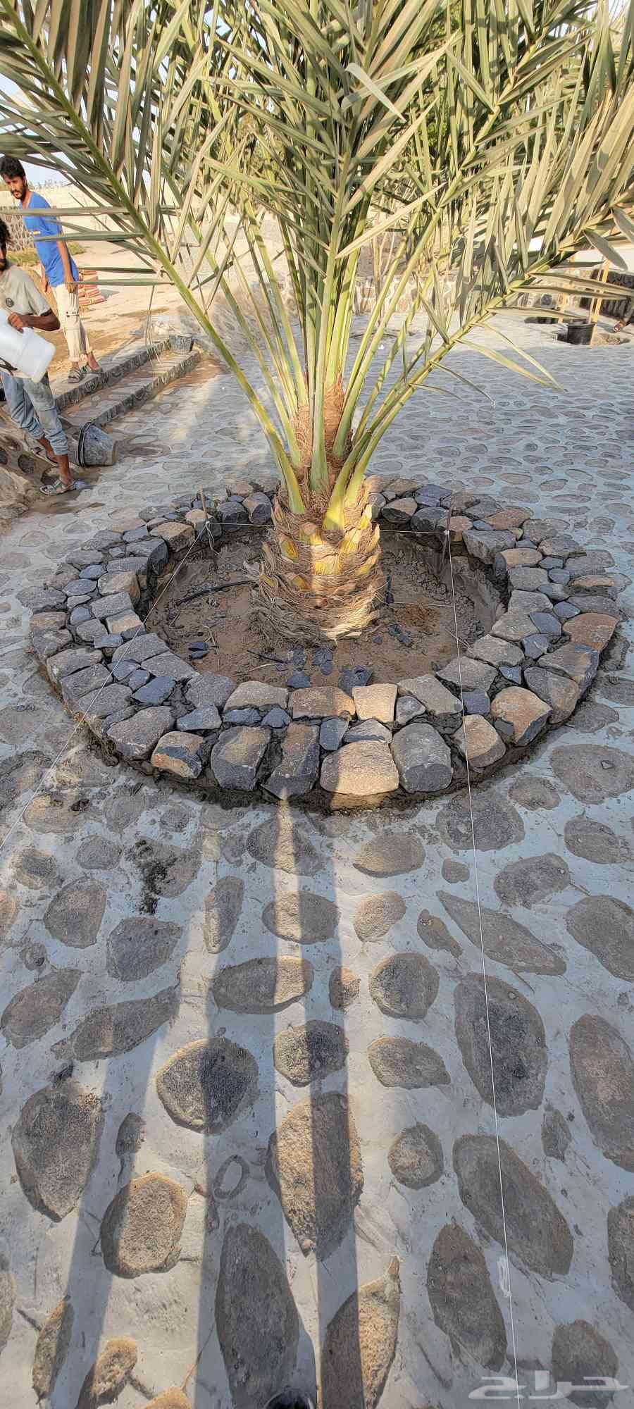 معلم حجر طبيعي رقم اتواصل64209431800065110