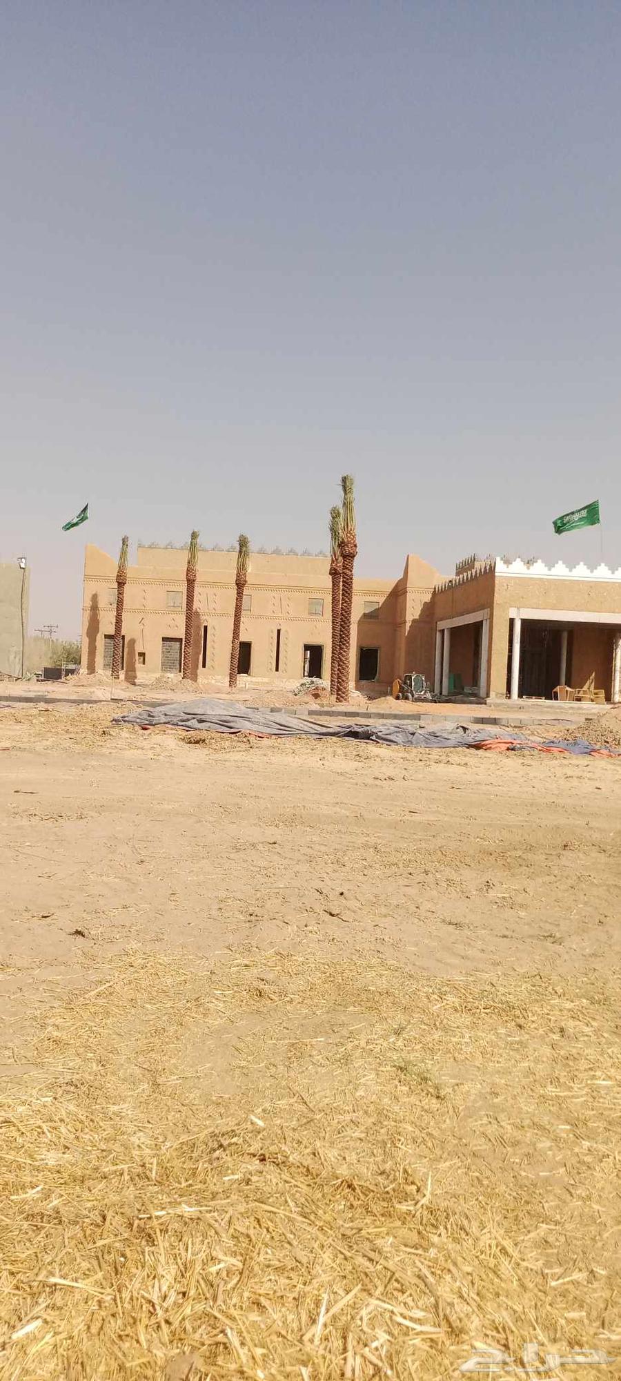 Shabak64208360071683113