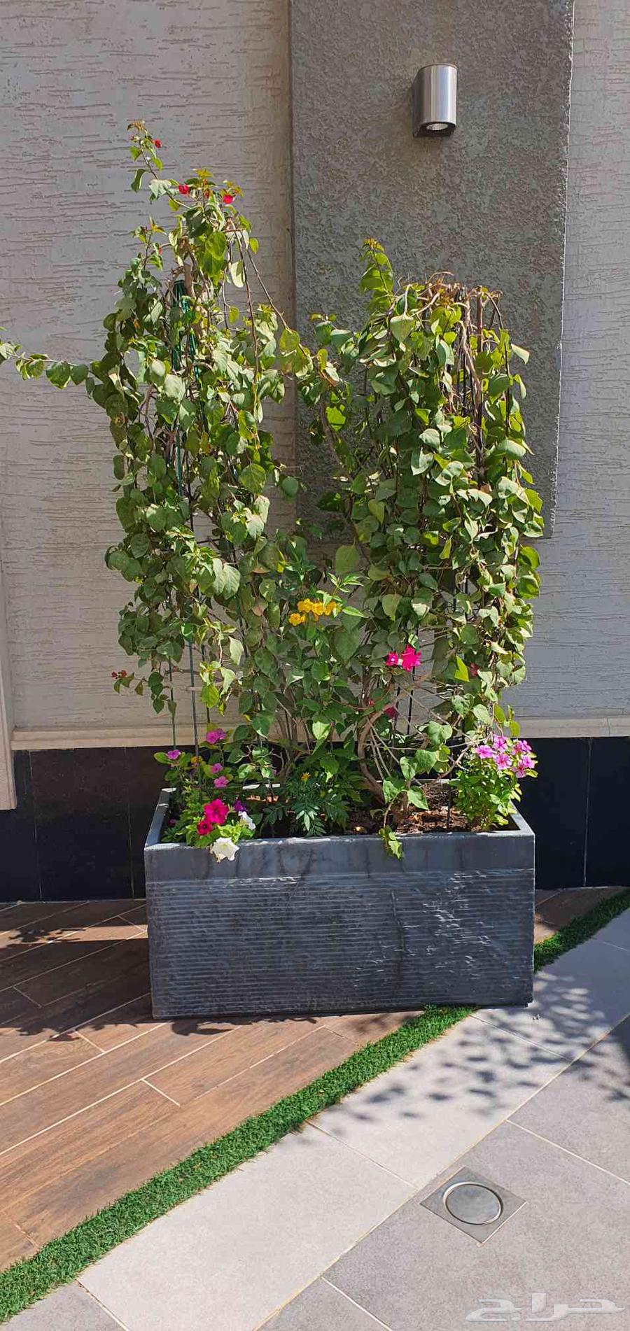 تنسيق حدائق الرياض64208162576258113