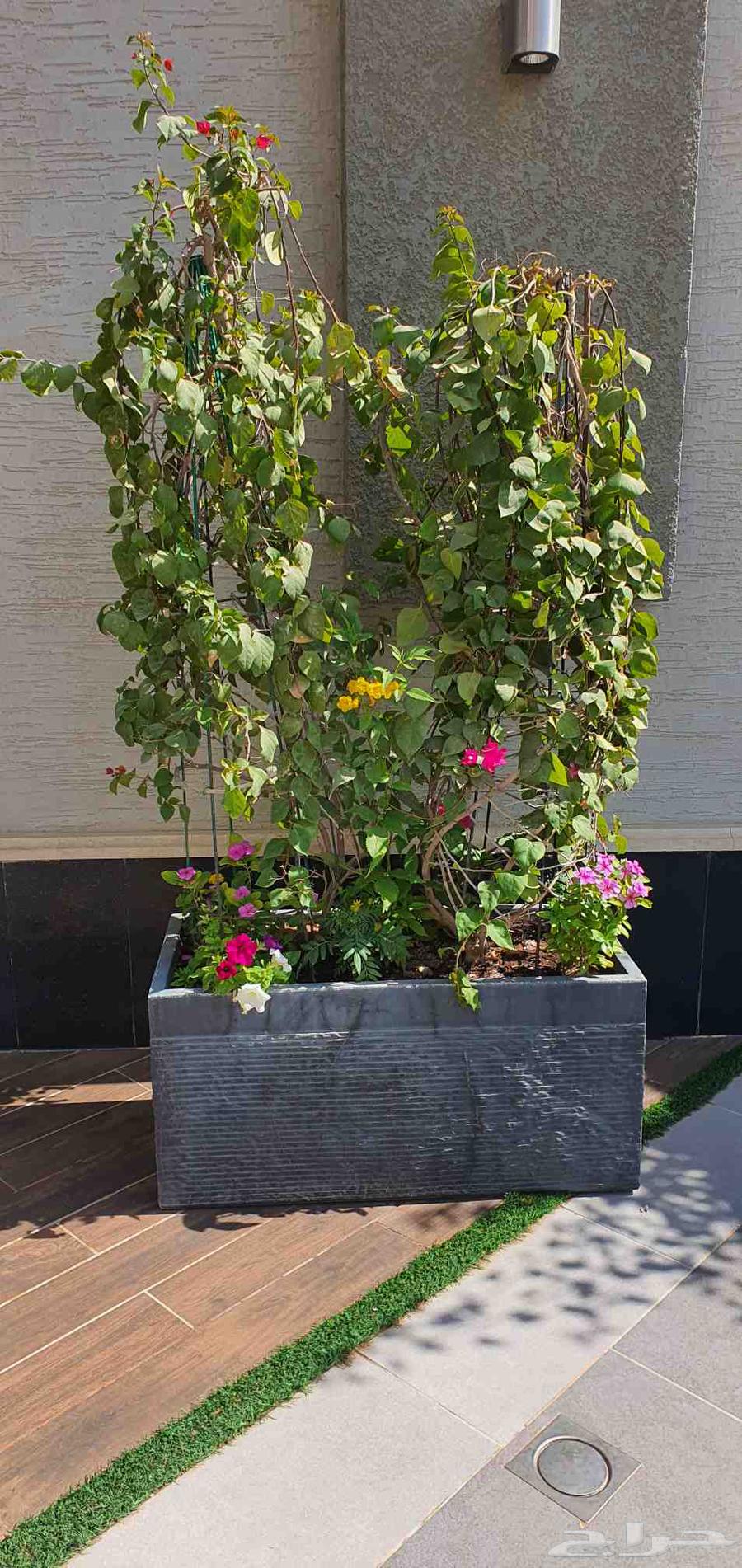 تنسيق حدائق الرياض64208162576258112