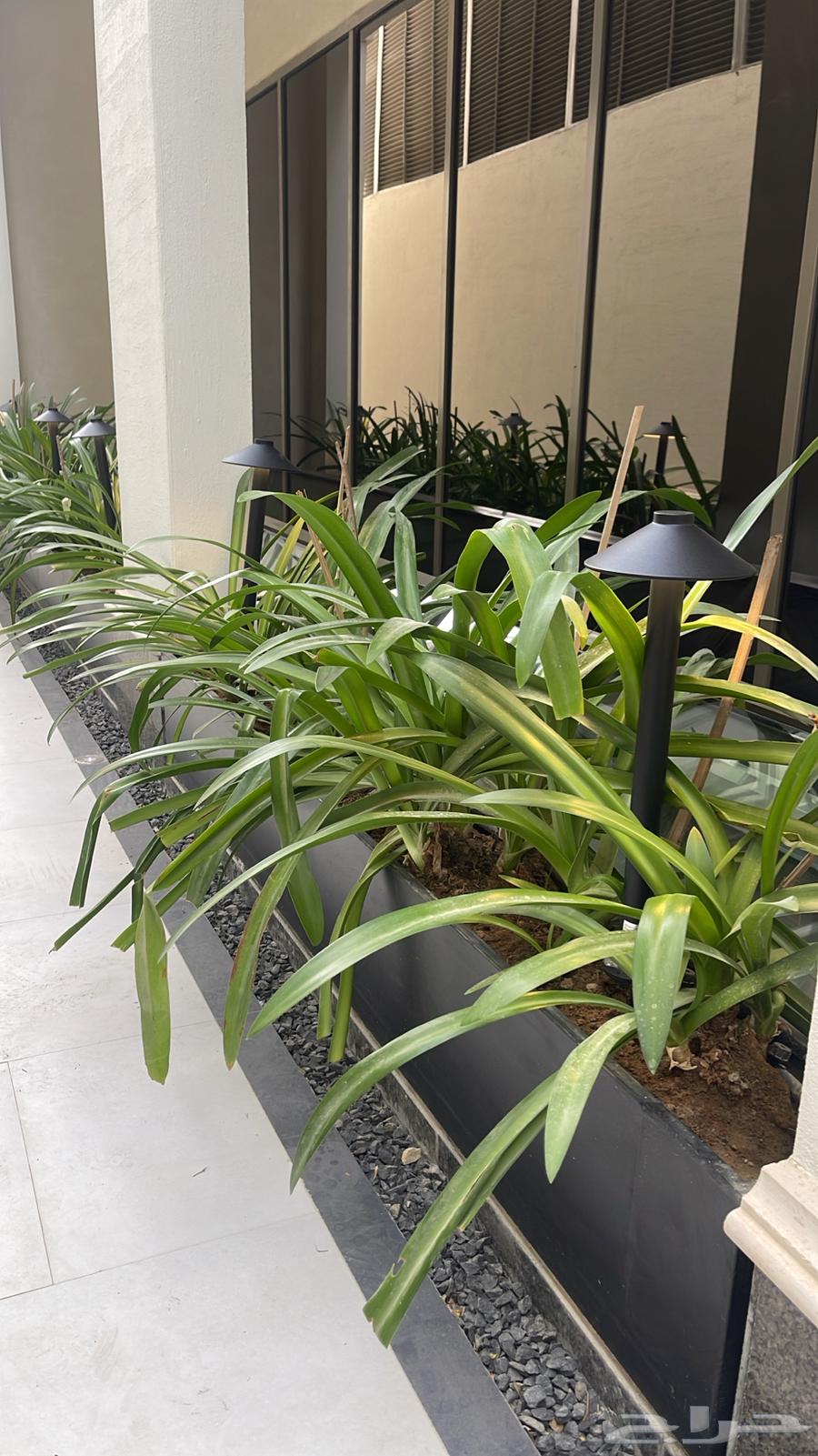 Swimming pool, waterfall, fountain, and garden maintenance64210977937155110