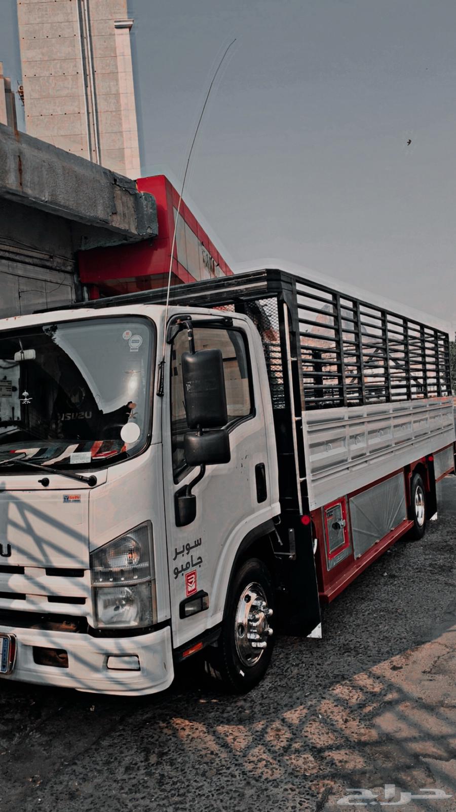 نقل عفش مع الفك والتركيب64212033809153110