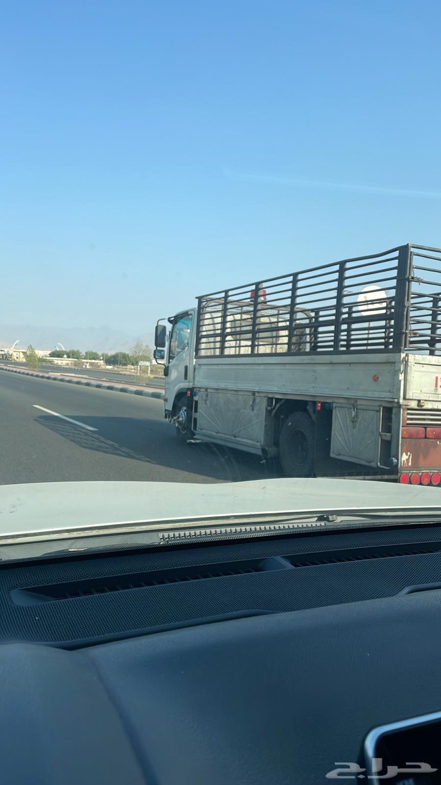 Dina Dina Taif Moving Services Dina Delivery Taif64210550146689110