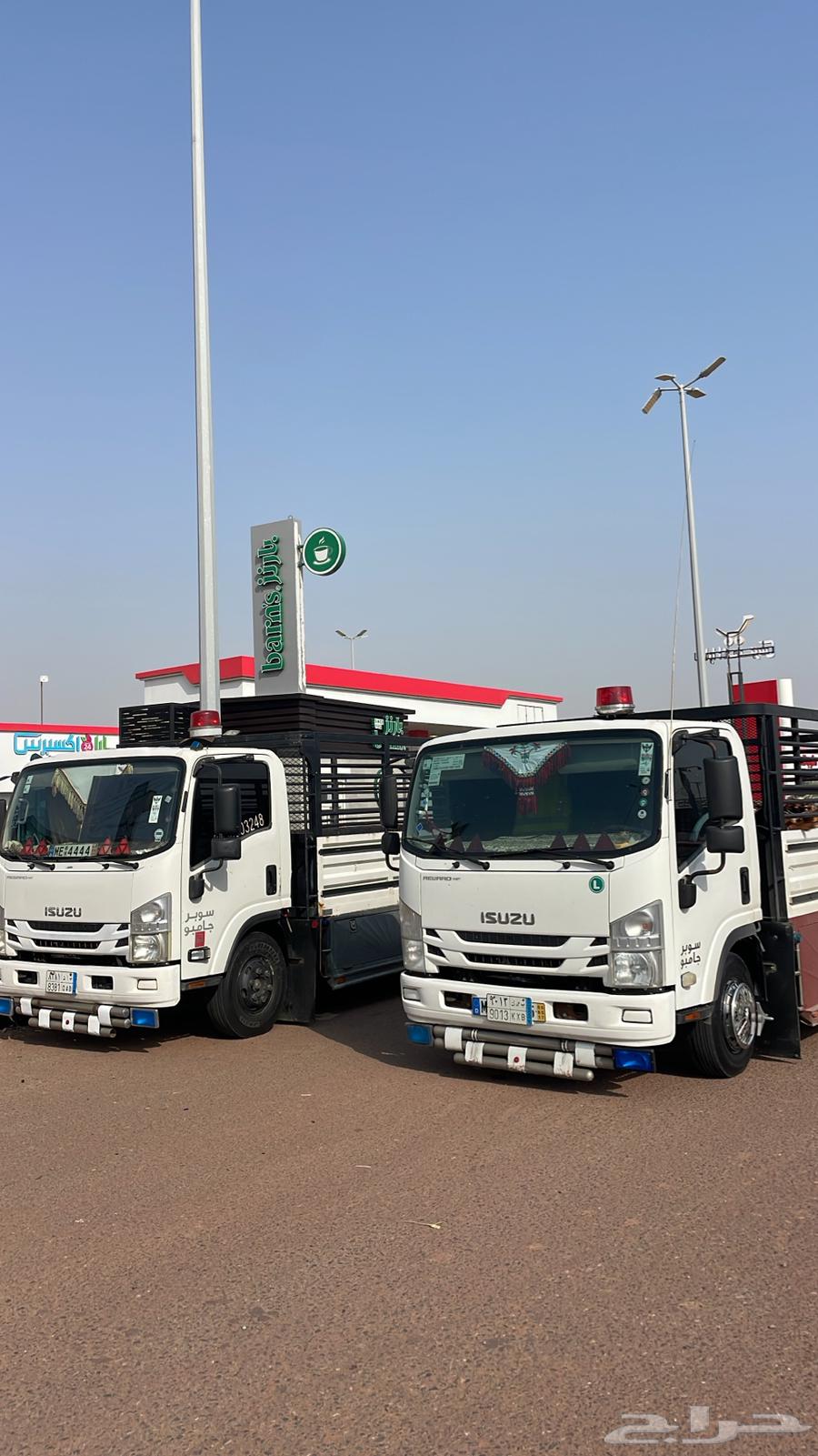 دينه دينا جده64211170961155113