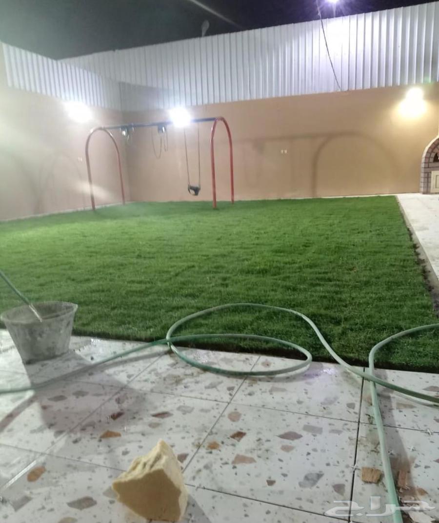 ثيل طبيعي تركيب وتوريد64209433508226111
