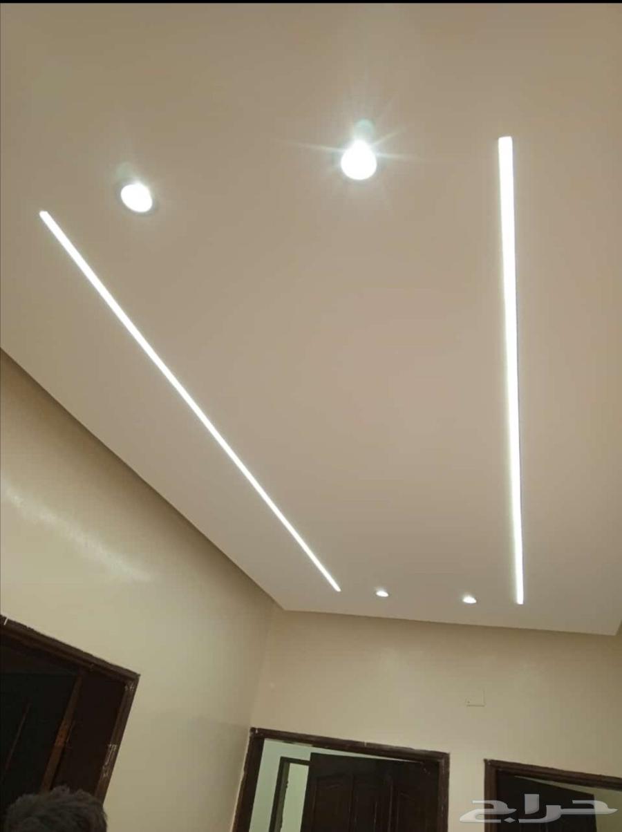 Gypsum board, regular gypsum, decorative, wood alternative, alternative64592347330817113