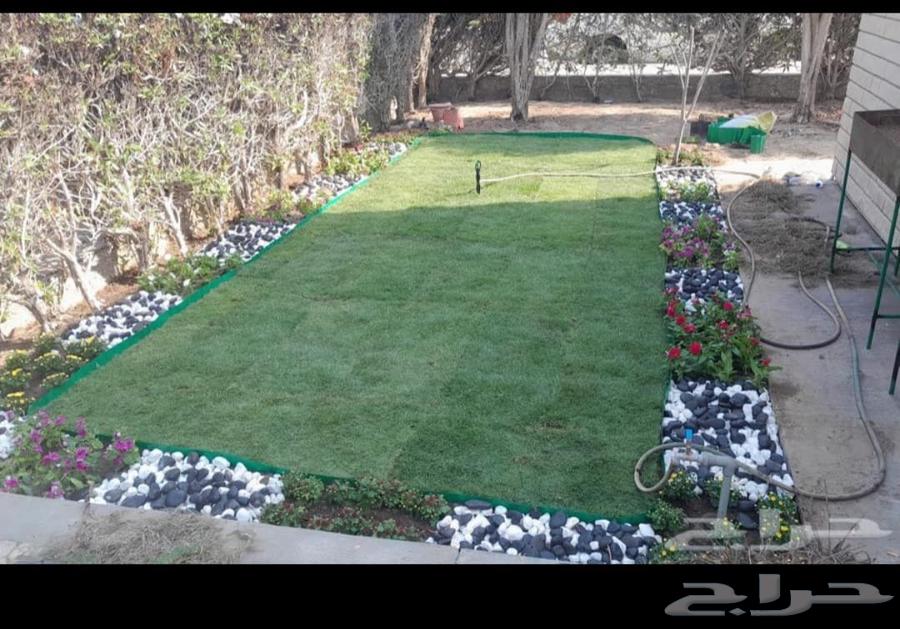 أبو محمد الصعيدي التنسيق الحدائق والزراعة64210553680130110