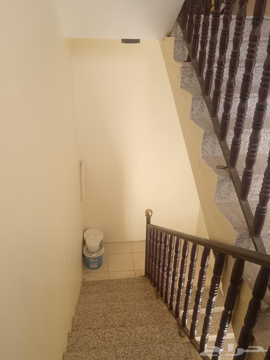 انا شغل بويا64210549482113112