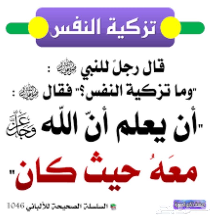 مطلوب شريك اجنبي64209433554051110