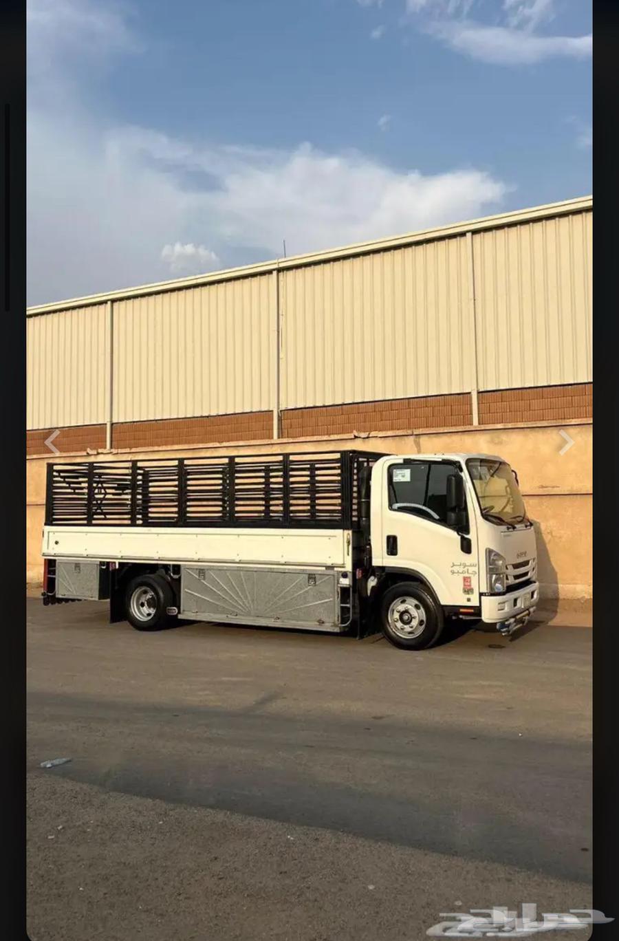 دينه نقل دينا دنه64211588330370110