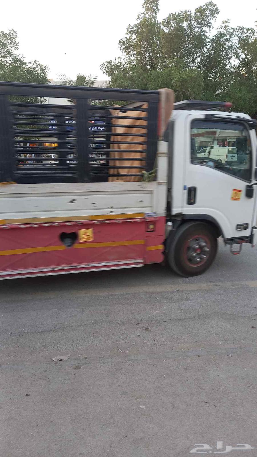 دينا نقل عفش نقل اثاث64211588426881110