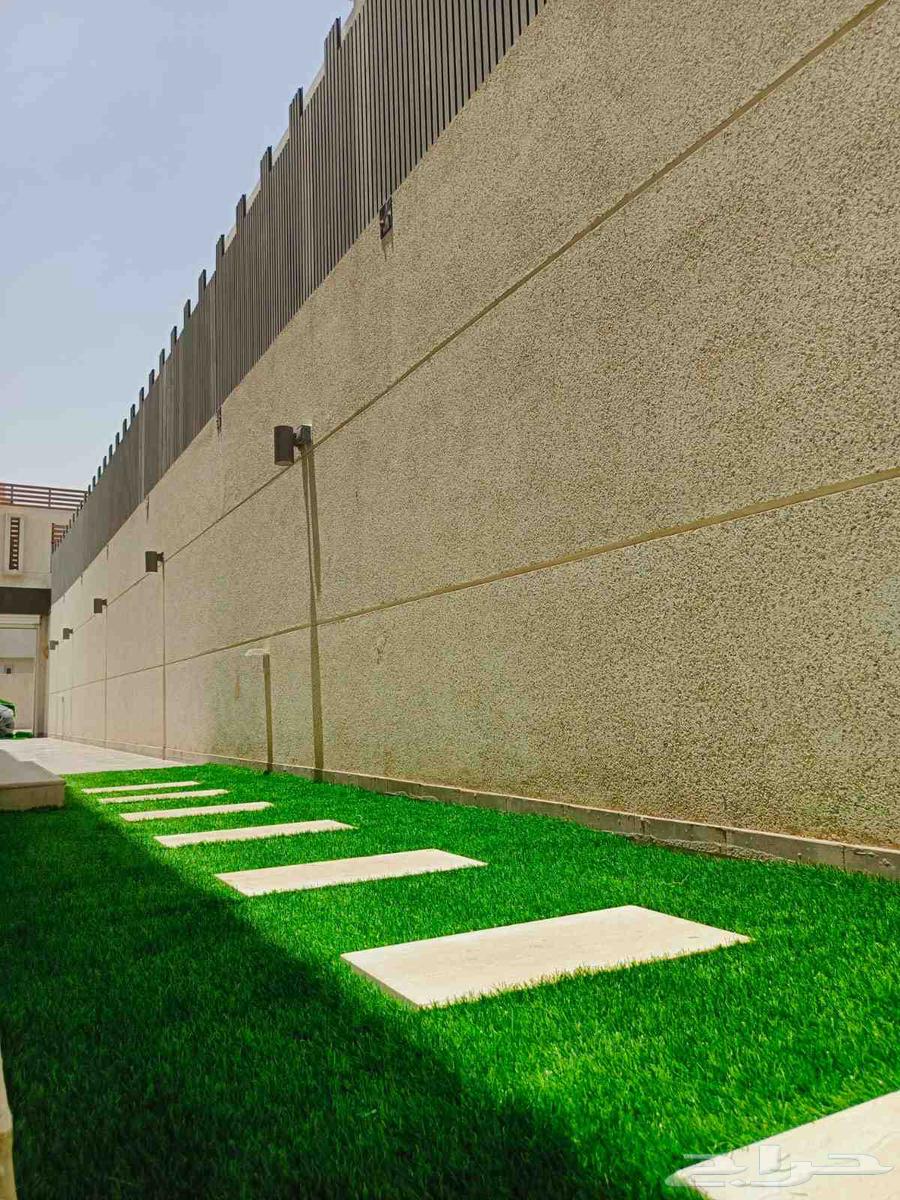 Garden landscaping and Kingdom decorations with artificial and natural grass64211816146946112