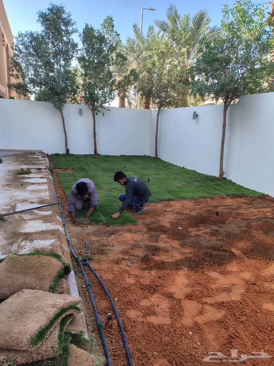 Finishing and Maintenance Contracting64211168959363111