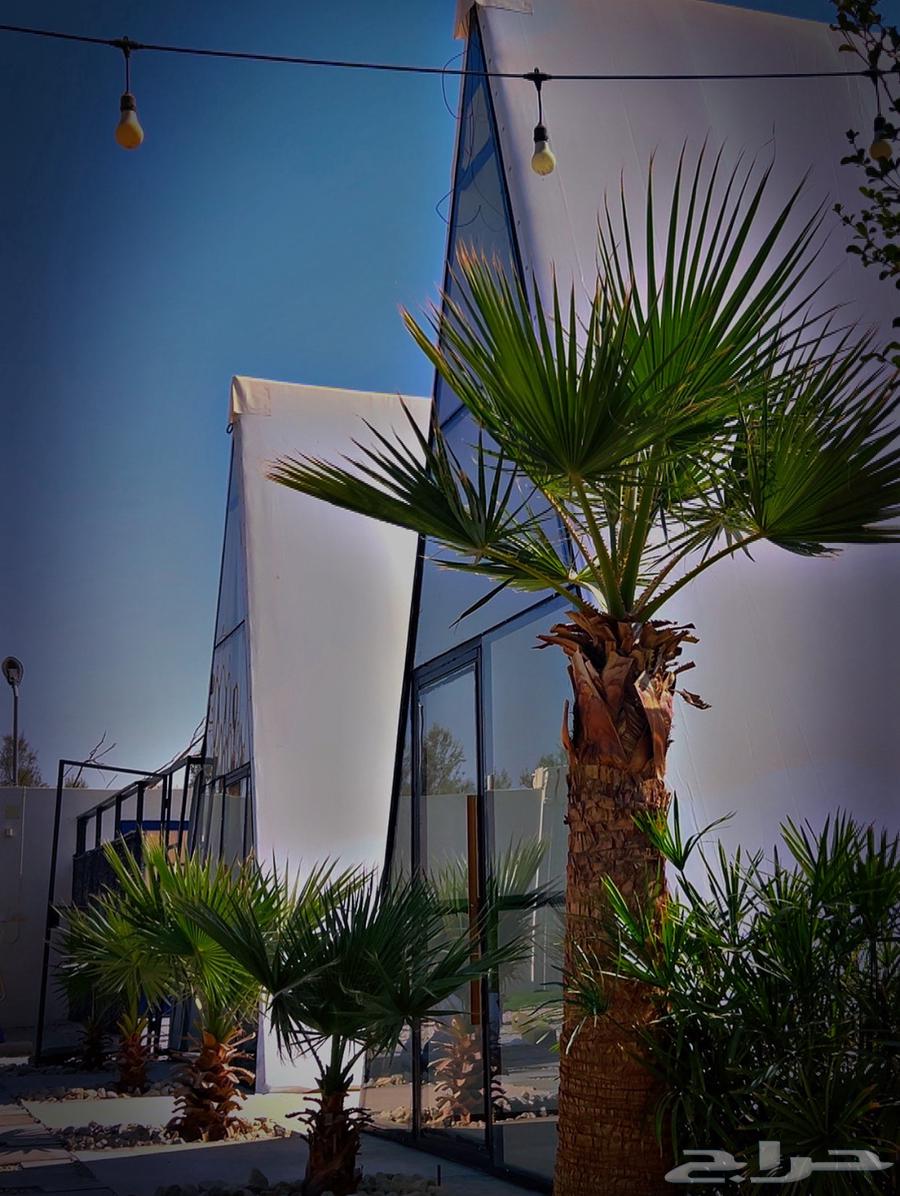 Detailing tents with the same image64211815555074110