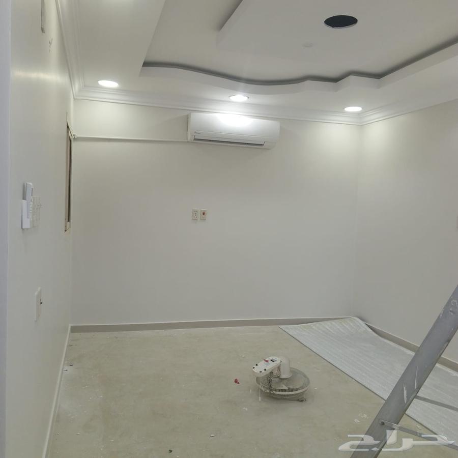 صباغ الاحساء64211587440643113