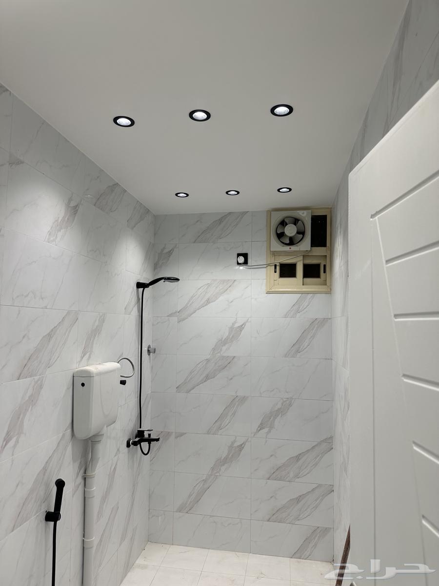 دهان باكستاني داخلي64211818863234113