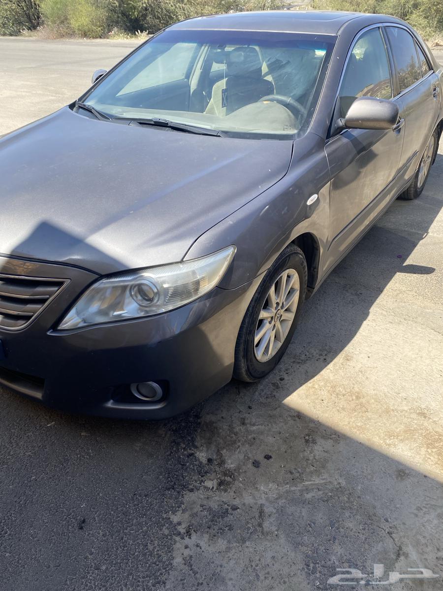 Delivery of orders and rides64210334637825110