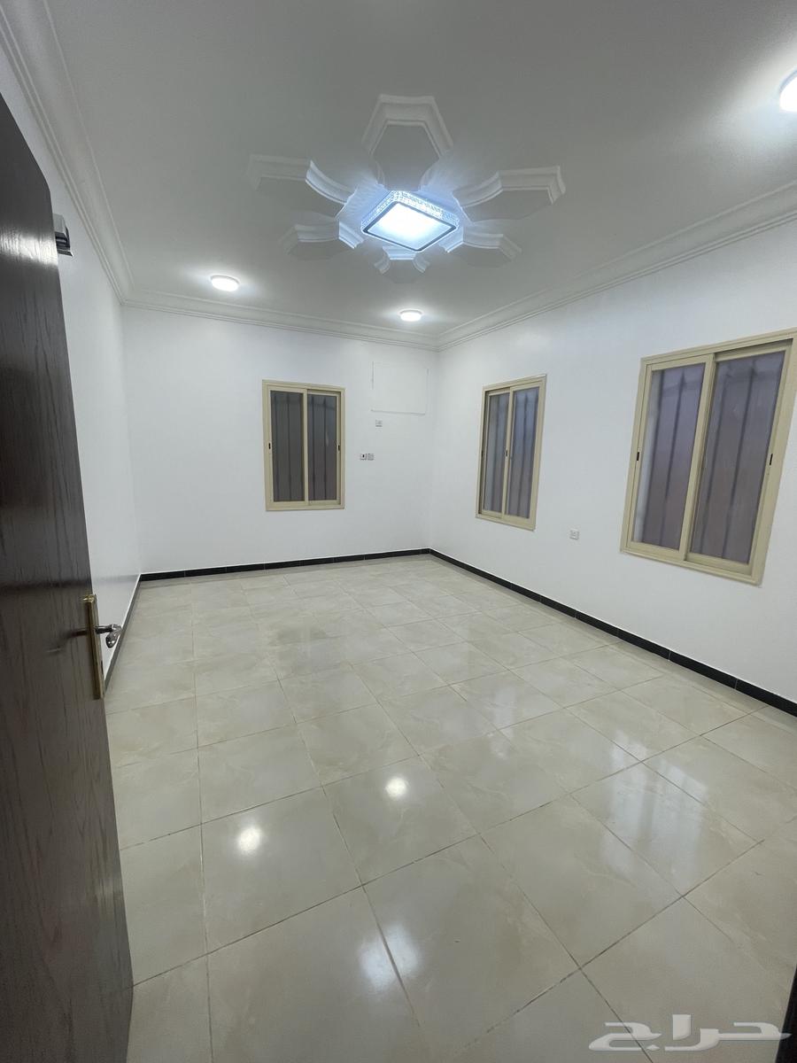 شقة للإيجار