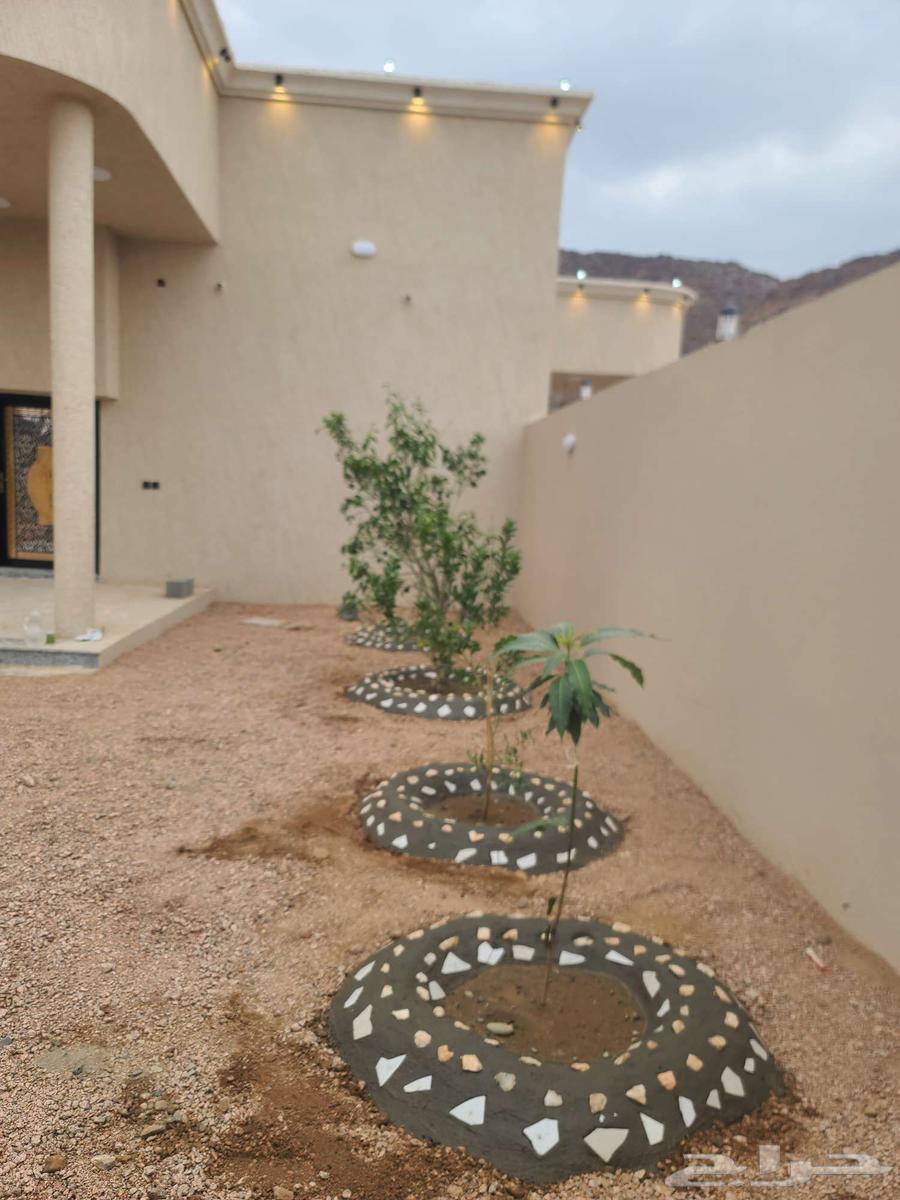 Decorating tree basins, spraying treatments and pruning64212037758466114