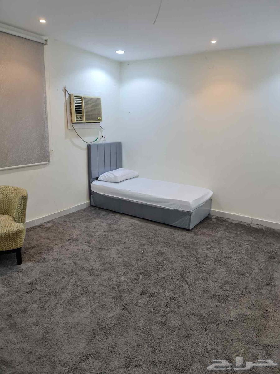 شقة للإيجار