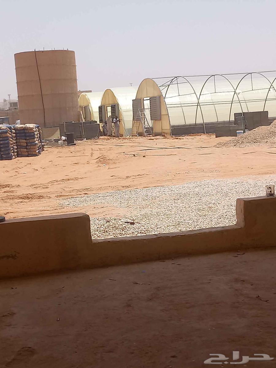 فك وتركيب البيوت المحميه64211169502977110