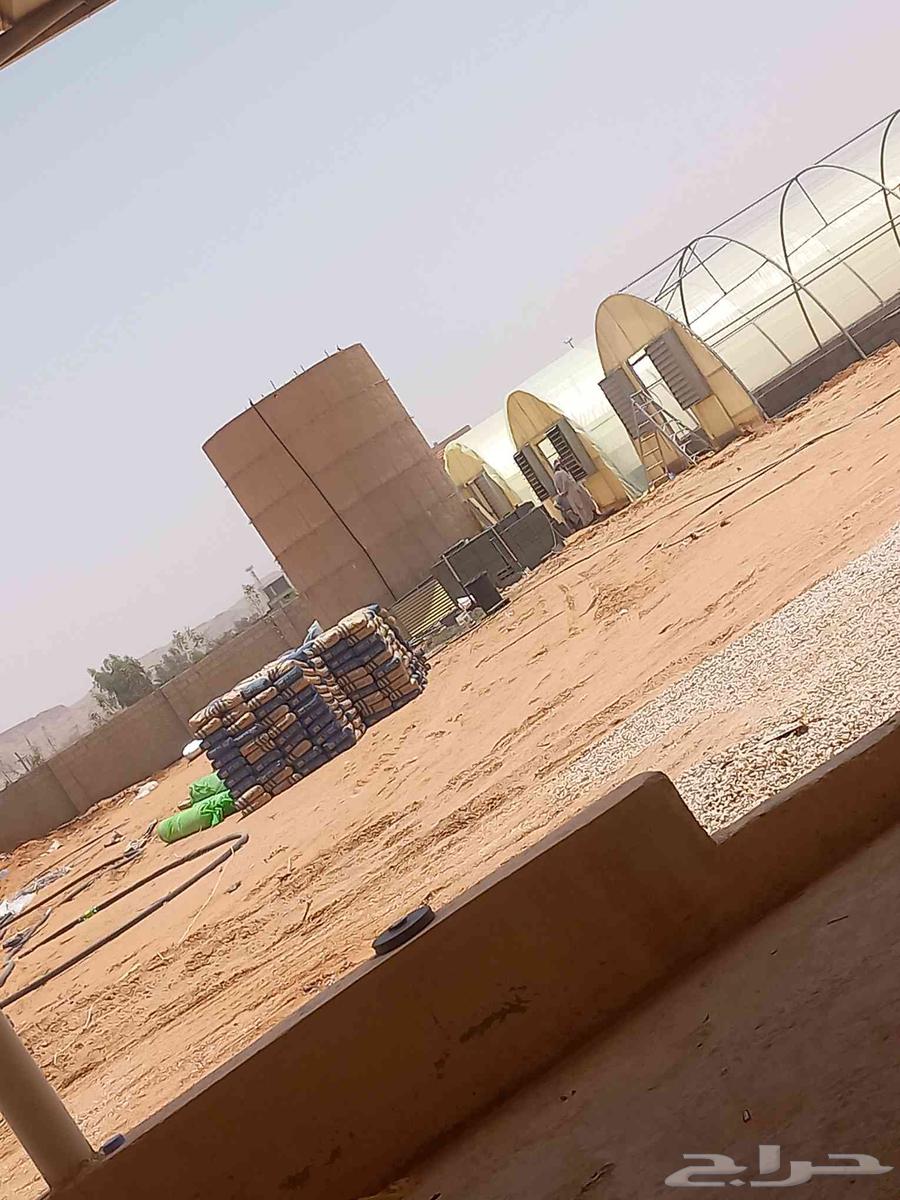 فك وتركيب البيوت المحميه64211169502977111