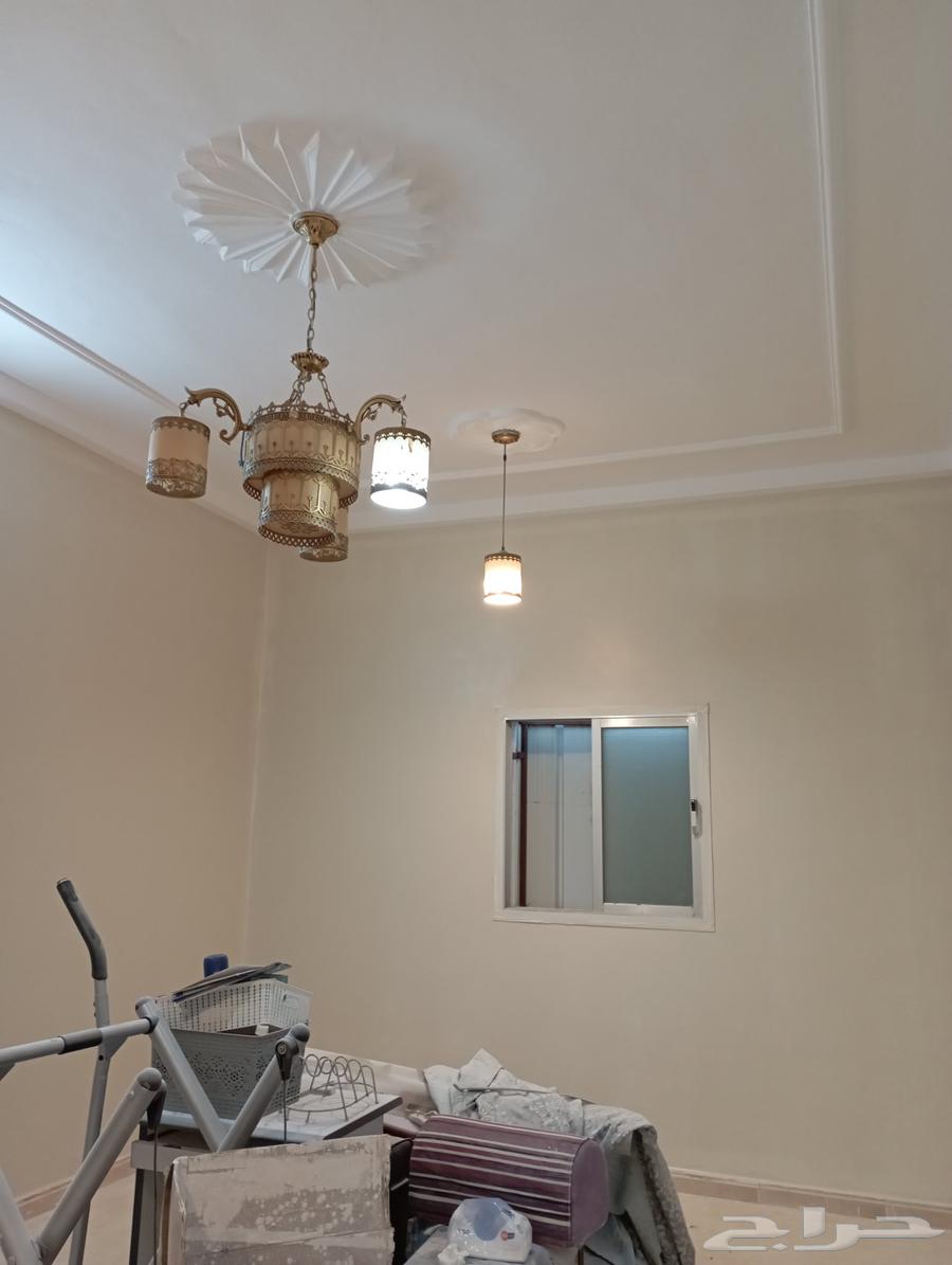 دهانات معلم حايل64210092609539114