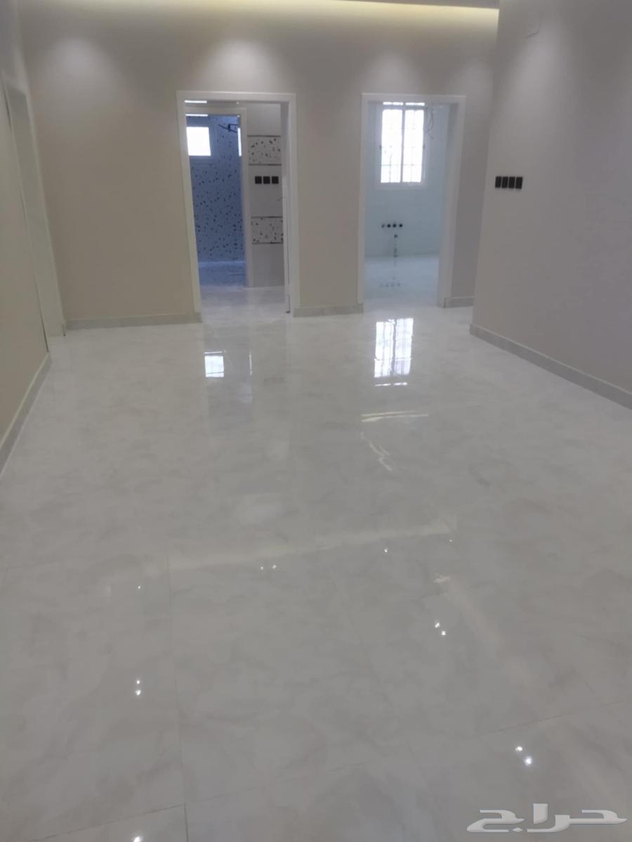 Home, apartment, and tank cleaning company with tank insulation and pest control services in64210335998081114