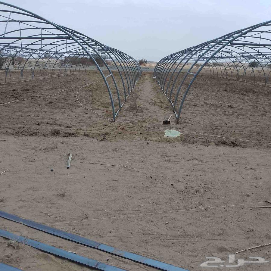 معلم تركيب بيوت محميه64210979026945112