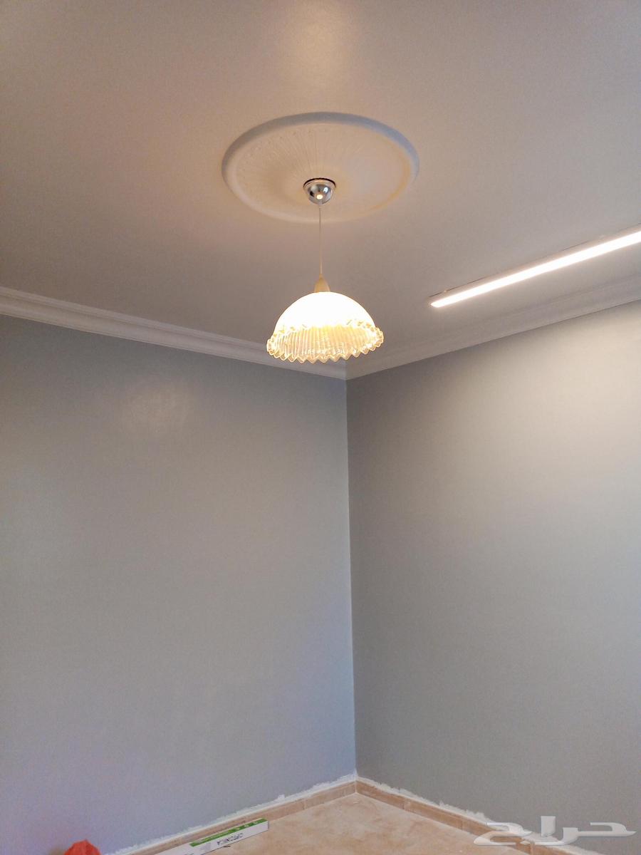 دهان.64211816782339114