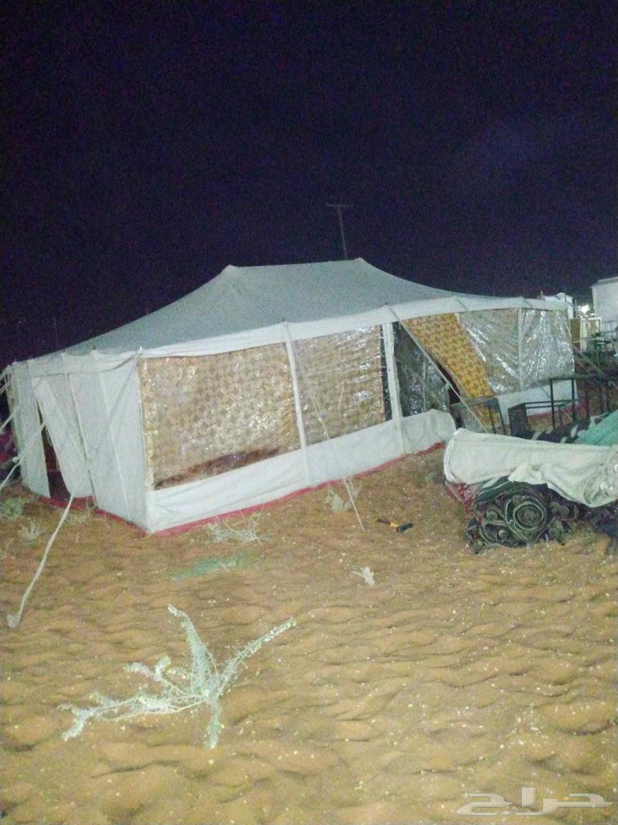 تركيب خيام وبيوت الشعر المزاحميه وحواليها64211819010051110