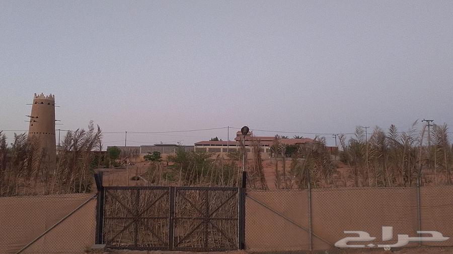 إستراحة للبيع