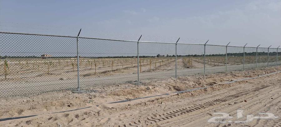 مقاول سياج شبوك64211586361091114