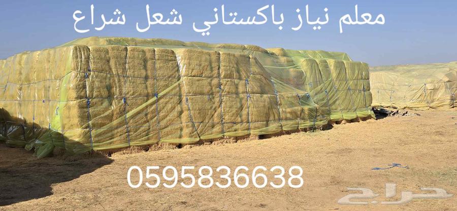 معلم نياز باكستاني شعل شراع64211586658050110