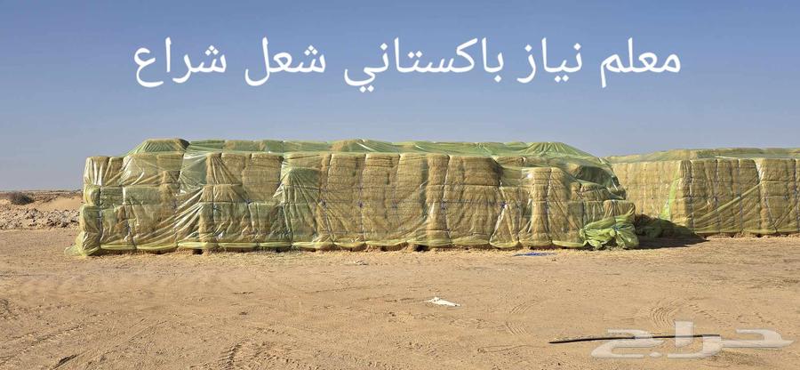 معلم نياز باكستاني شعل شراع64211586658050112