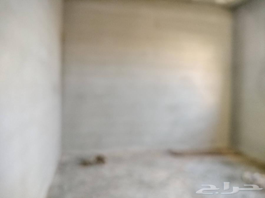 مواسة عبدالله ممدوح عيد السعدي للمقاولات العامه تليس وترميم64211817485569113